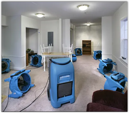 Water Damage Assessment in Elfers, FL