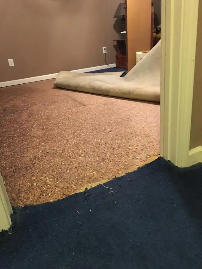 Carpet pad removal revealing water damage during Water Mitigation Services in Elfers