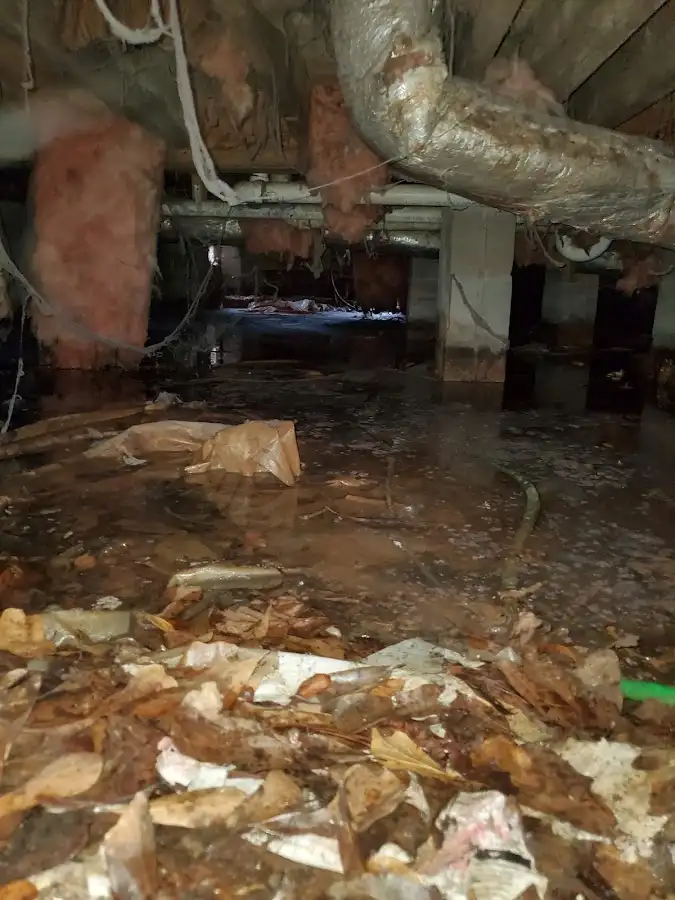 Crawl space flood assessment for Commercial Water Damage Restoration in Elfers