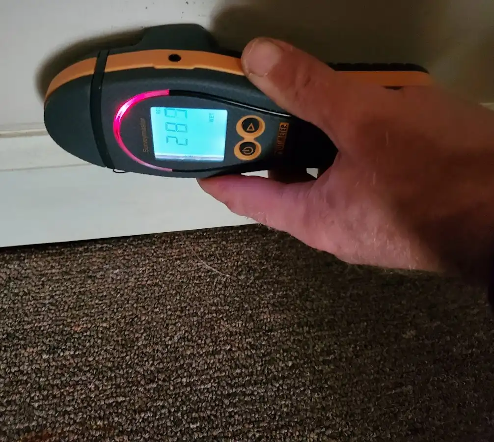 Moisture detection at baseboard during Storm Damage Restoration in Elfers